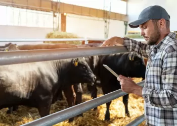 Hayvancılık Elektriği – Yüksek Maliyetler Geride Kaldı!