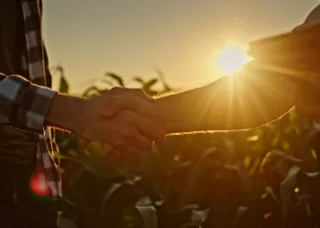 Çiftçiye Destek: Elektrik Tedarik Şirketlerinden Ucuz Tarım Elektriği